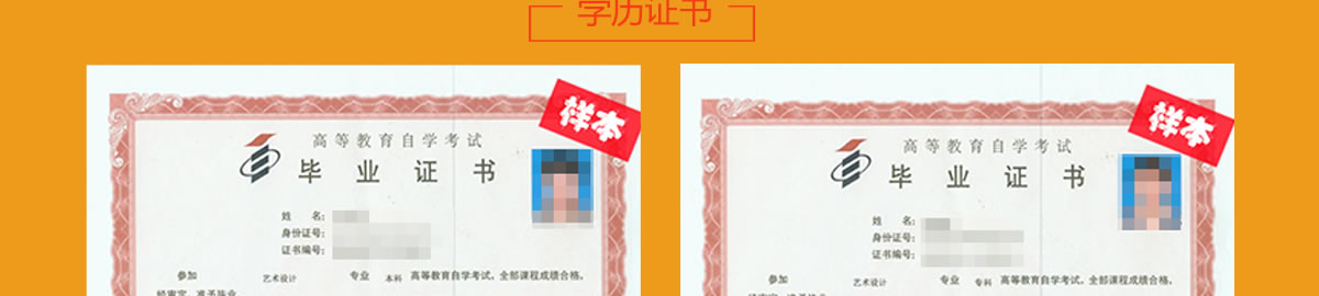 �����»�����ѧԺŮ��ѧʲô��